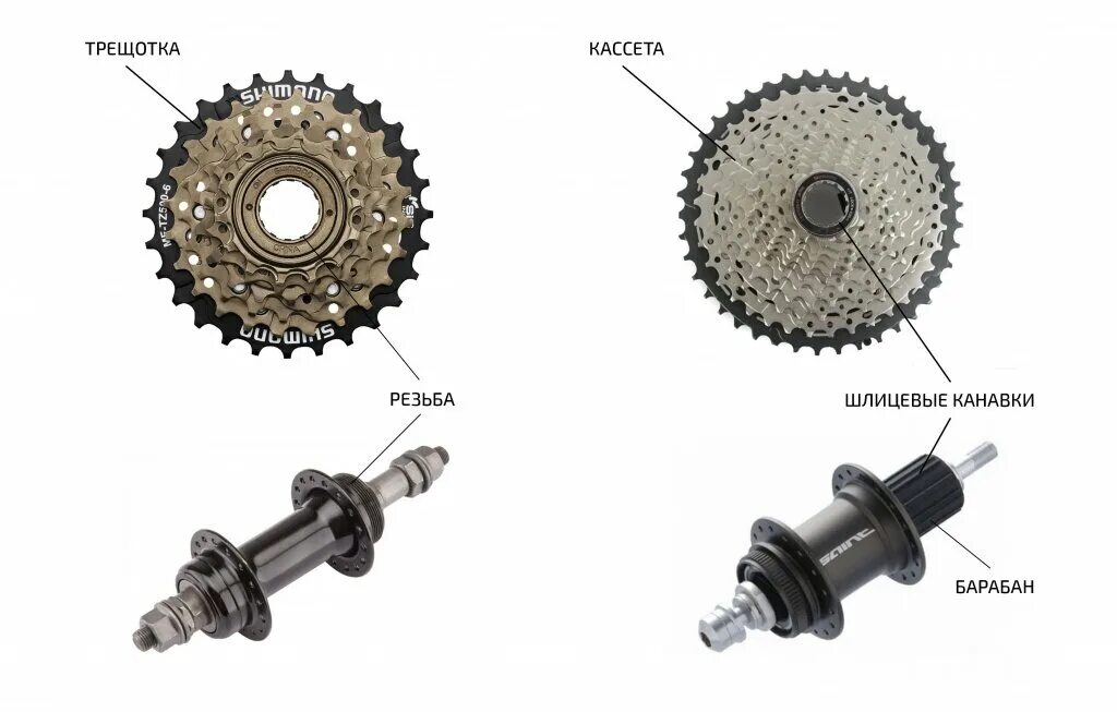 Чем отличаются кассеты. Втулка трещетка для велосипеда. Втулка заднего колеса велосипеда форвард трещетка. Трещетка 7 скоростей чертеж. Втулка для велосипеда под кассету 7 звёзд.