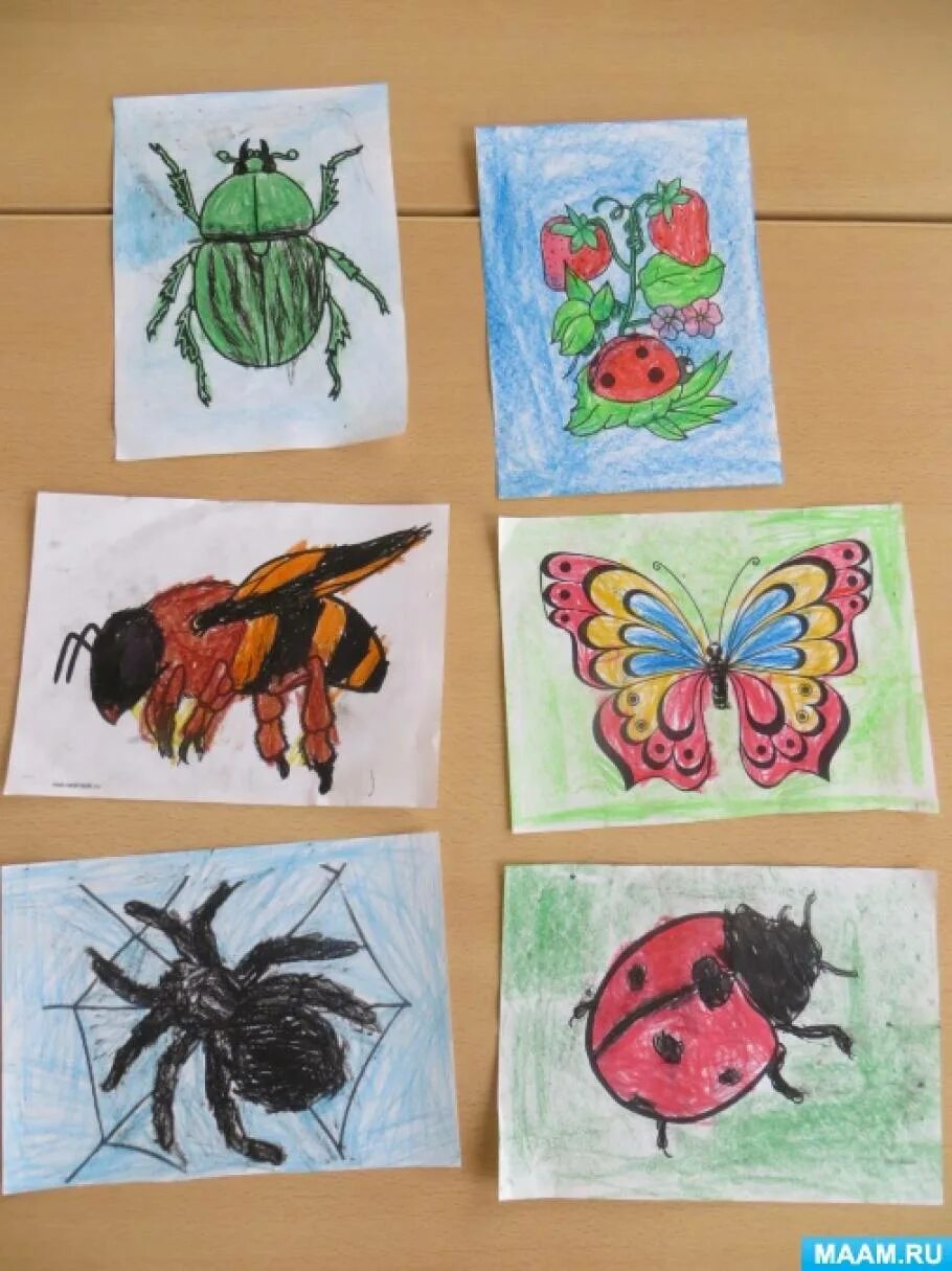 Насекомые средняя группа. Рисование насекомые средняя группа. Рисование насекомые средняя группа нетрадиционные. Рисование насекомых в средней группе детского сада. Тематическая неделя насекомые