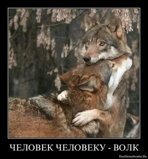 Родной неожиданный