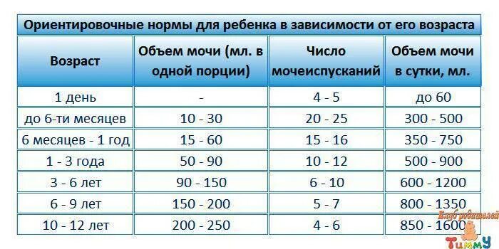 Сколько раз в год должен. Частота мочеиспускания в норме у детей. Число мочеиспусканий у новорожденного в сутки. Количество мочеиспусканий у новорожденного. Число мочеиспусканий у ребенка 1 дня жизни.