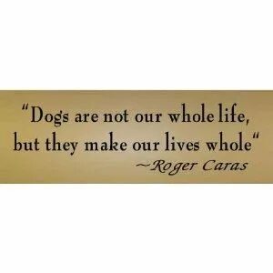Our whole lives