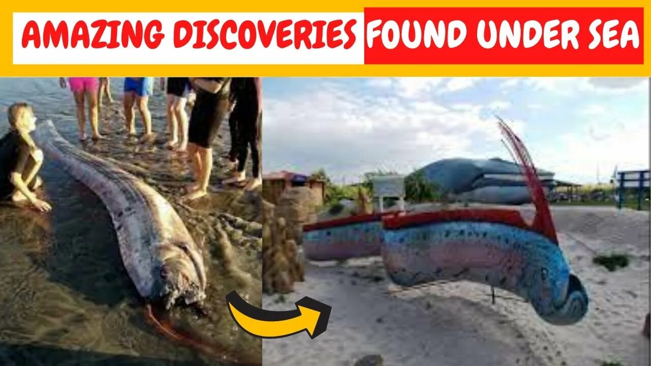 Discover found out. Oarfish short.