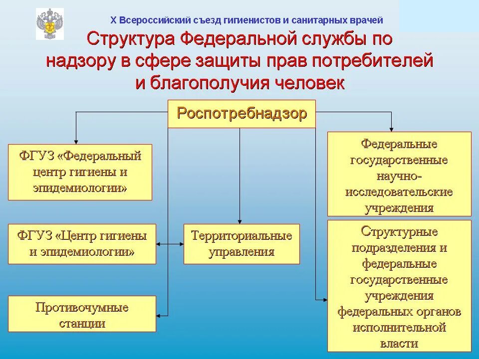 Главные государственные санитарные врачи субъектов. Структура Роспотребнадзора РФ схема. Структура органов Роспотребнадзора. Структура государственной санитарно-эпидемиологической службы РФ. Структура службы Роспотребнадзора.