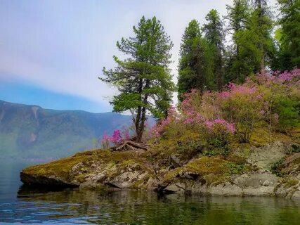 Фото с алтайского края