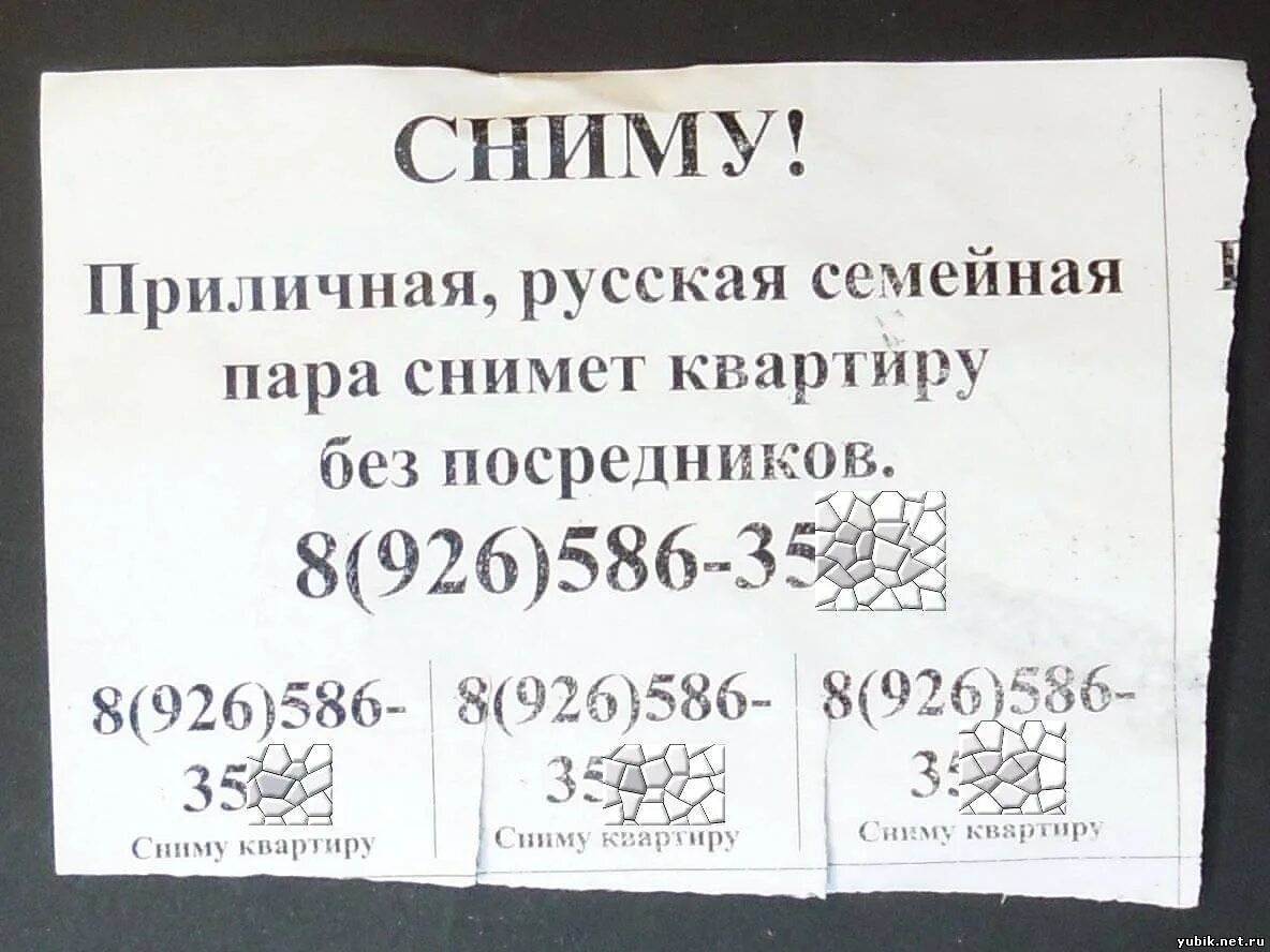 Частник объявления квартиры. Пример объявления сниму квартиру. объявление сниму квартиру. сниму квартиру объявление образец. объявления о снятии жилья.