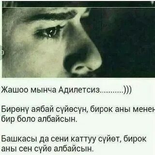 Жашоо бир