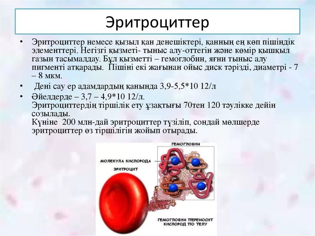 Эритроциттер. Структура эритроцита и гемоглобина. Среднего содержания гемоглобина в эритроците. Эритроцит молекула гемоглобина.