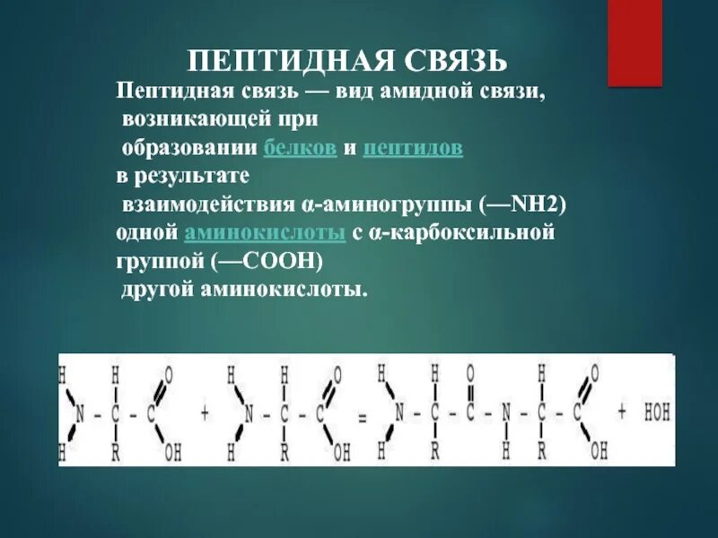 Пептидные связи есть в. Пептидная связь. Пептидная и амидная связь. Пептидная связь вид связи. Виды пептидных связей.