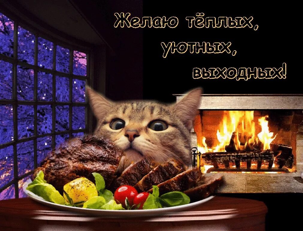 Добра вечера картинки смешные. Уютного вечера. Уютного и вкусного вечера. Добрый вечер хороших выходных. Хорошего вечера и выходных.
