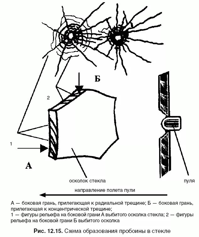 Определите направление выстрела. Радиальные трещины стекла. Радиальные и концентрические линии выстрела. Радиальные и концентрические трещины.