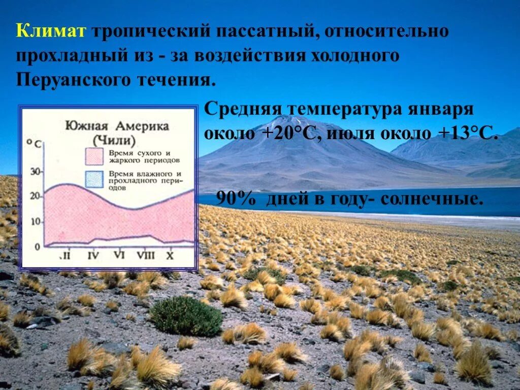 Климат пустыни Атакама. Климат пустыни в Южной Америке. Средняя температура в тропических пустынях. Тропический пассатный климат.