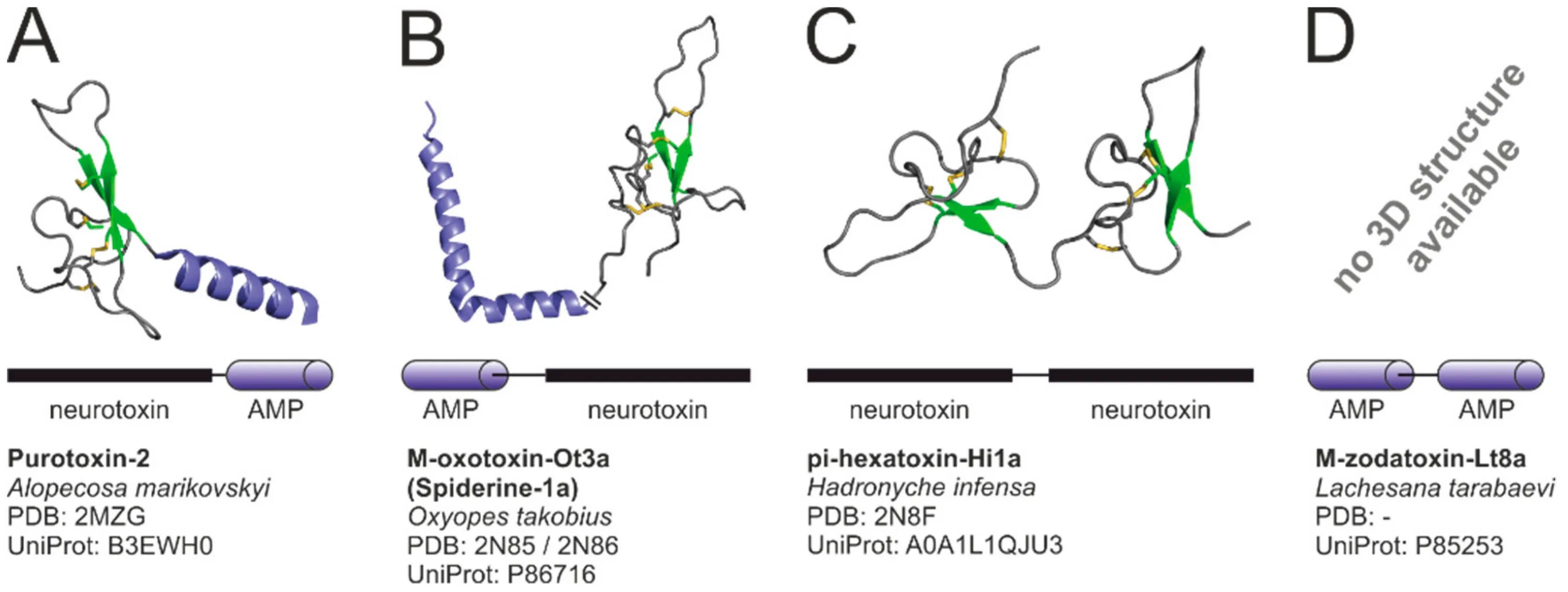 Α-Токсин. Α-Токсин механизм действия. Холероген структура. Токсинов (CDT). Группа токсин