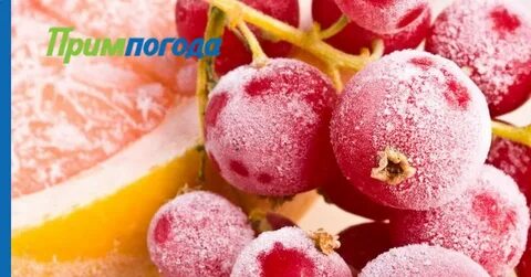 Frozen fruits