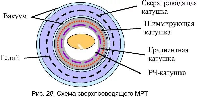 Мрт структуры. Мрт структуры