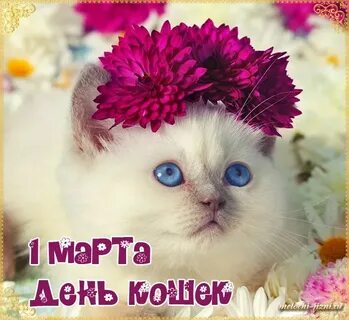 Просто всякие картинки