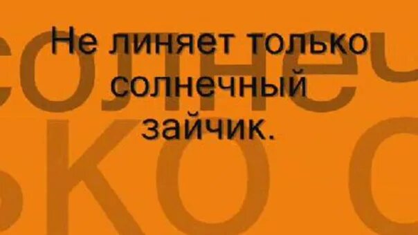 Не линяет только солнечный. Не линяет только солнечный зайчик текст. солнечные зайчики текст. текст песни солнечные зайчики. а весной линяют разные звери не линяет только солнечный зайчик.