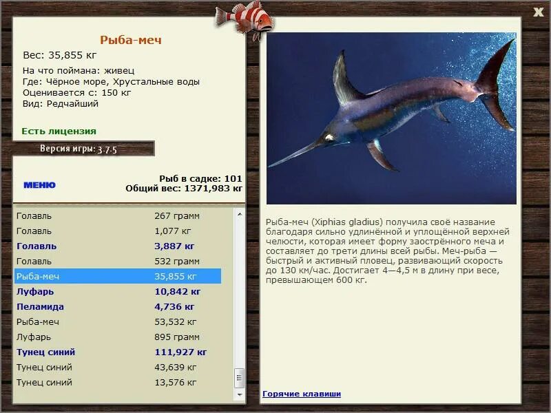 реальная рыбалка рыба меч