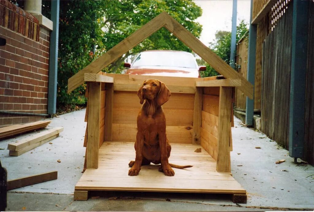Courtyard, Yard, Dog House. Dog in the House. Игра dog house dogs house net