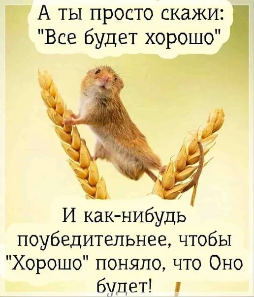 Доброго здравия. Пожелания доброго здравия. открытка доброго здравия. всем здравия.