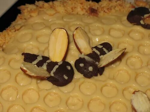 королевская пчела. пчела из шоколада. десерт пчелка. песня шоколадная пчела. шоколадка с пчелой.