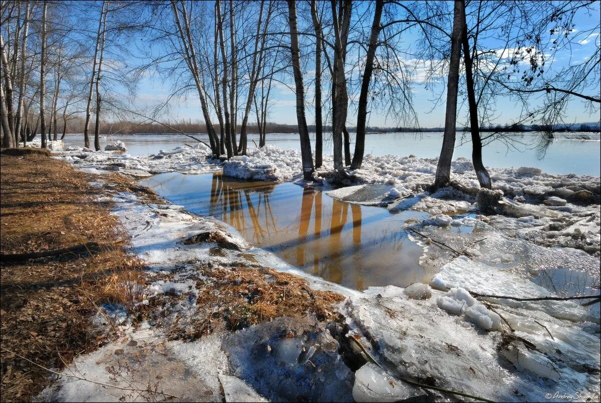 После апреля будет март. Весенние ручьи. Март природа.