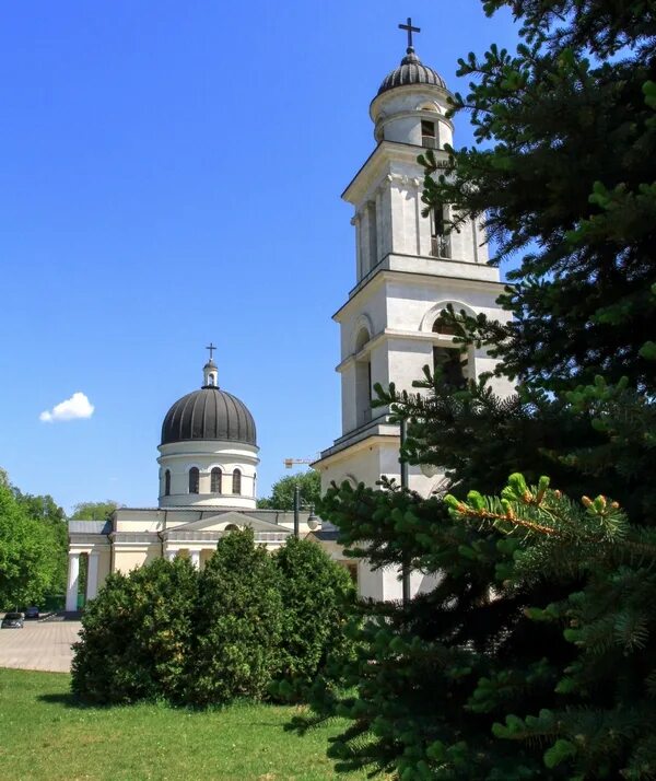 Парки кишинева. Соборный парк Кишинев. Парк катедралей Кишинёв. Кафедральная Кишинёв. Деревья соборного парка Кишинева.