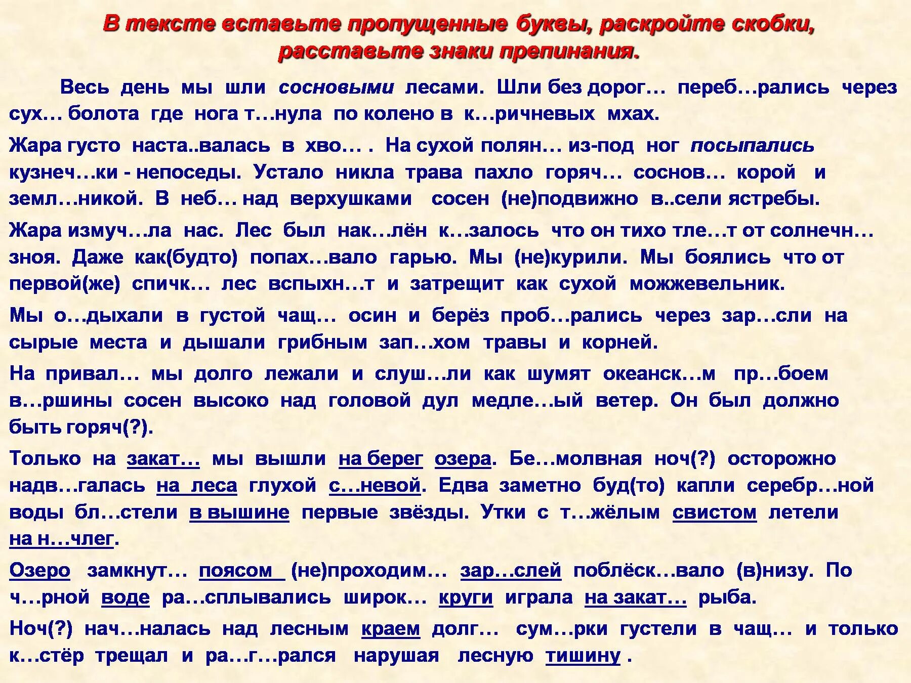 Едва заметно будто капли воды блестели. Весь день мы шли сосновыми лесами шли. Текст весь день мы шли сосновыми лесами. Текст. Диктант весь день мы шли сосновыми лесами.