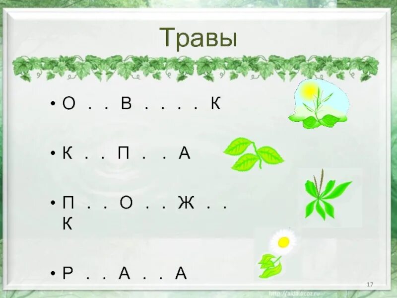 Какие бывают растения окружающий мир 2 класс. Урок на траве. Трава какая бывает для дошкольников. Какие бывают растения задания. Какие бывают растения 2 класс.