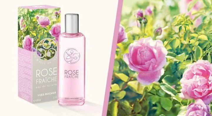 Yves rocher rose. Yves rocher туалетная вода rose. туалетная вода ив роше розовая.