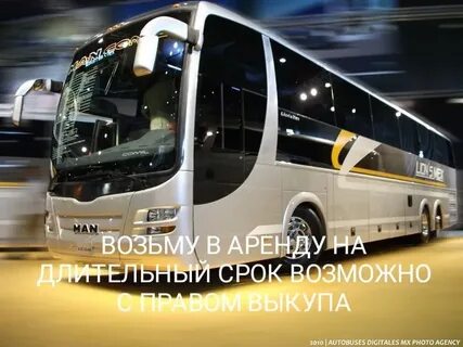 Автобус бус