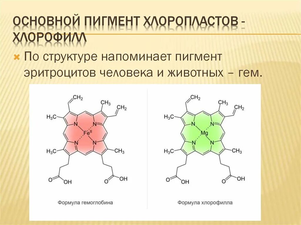 Строение пигментов. Пигменты хемосинтеза. Наличие пигментов хемосинтеза. Пигмент хлорофилл. Пигменты хлоропластов.