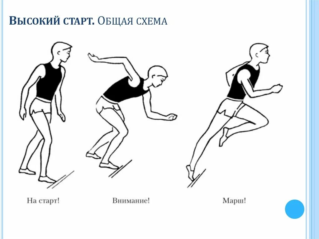 Бег команды этапами. Техника бега с высокого старта. Бег на короткие дистанции (30-100 м).. Техника бега на 30 метров с высокого старта. Техника бега на короткие дистанции (низкий и высокий старт).