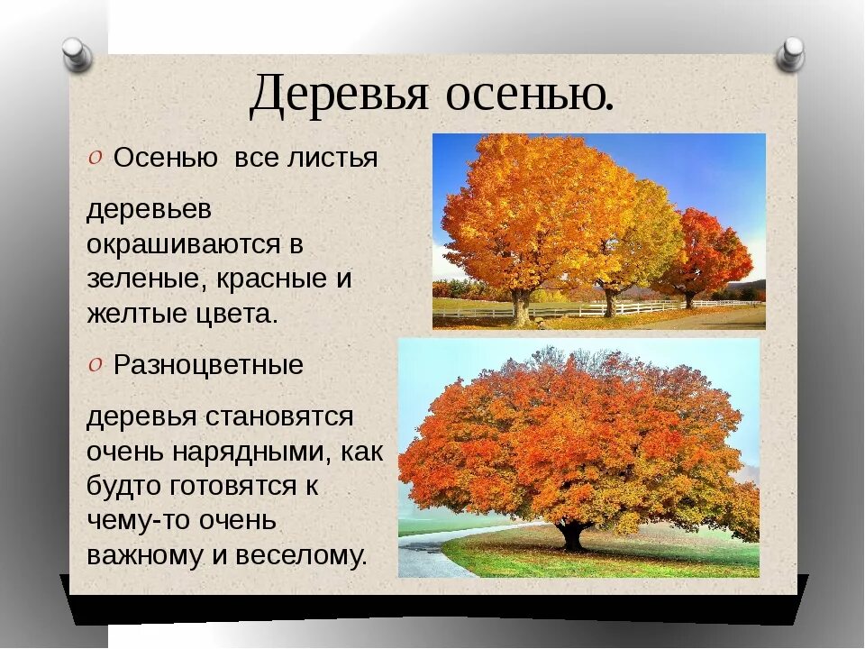Сочинение на тему деревья осенью. Описание осени деревьев. деревья осенью описание. деревья осенью презентация. описание леса осенью.