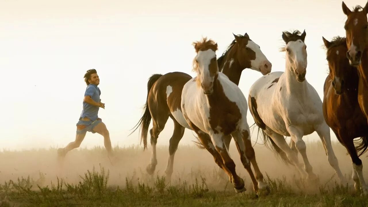 Horses song. Табун лошадей. Лошади на рабочий стол компьютера. В диких условиях обои. Лошади дружат.