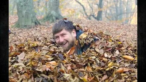 Опушке лицо