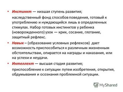 Наследственный фонд