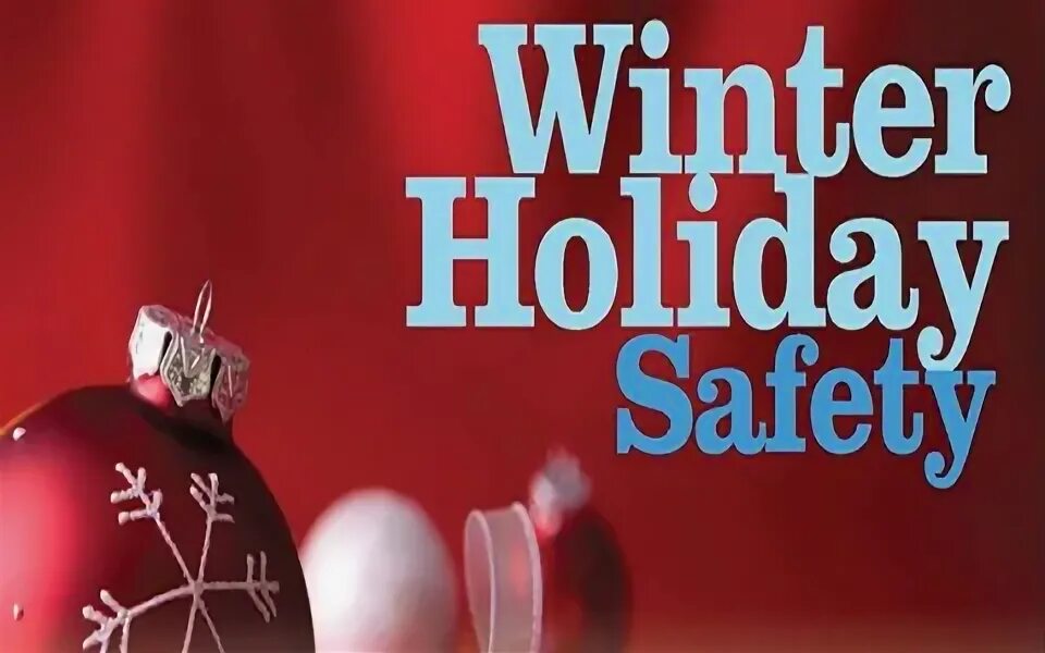 The winter holidays. Проект мои зимние каникулы 1 класс. Will ransome. Мокап новый год. The winter holidays.