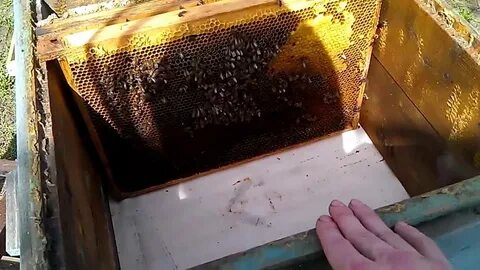Простой способ сделать отводок