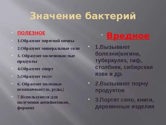 Какова положительная роль бактерий. Роль бактерий плюсы и минусы. Роль бактерий в природе и жизни человека плюсы и минусы. Положительные стороны бактерий. Значение бактерий плюсы и минусы.