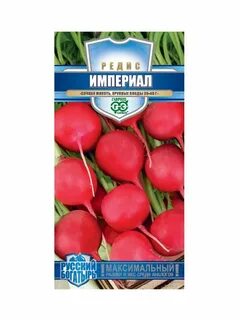 Гавриш русский богатырь