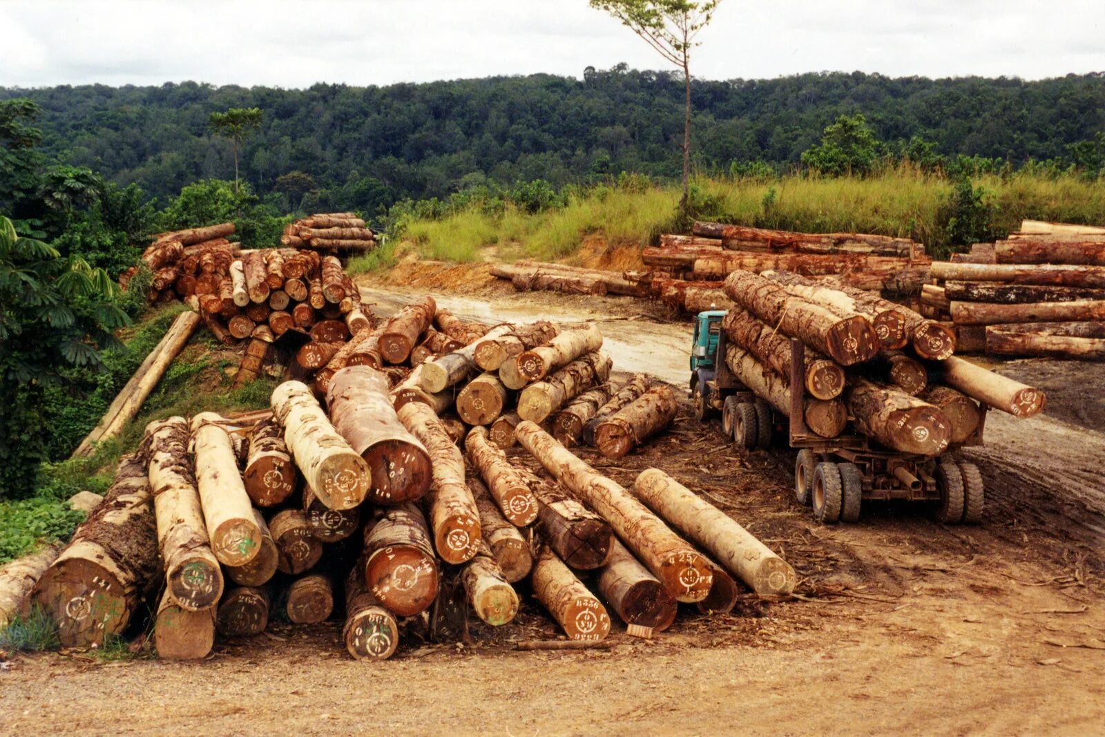 Bin logging