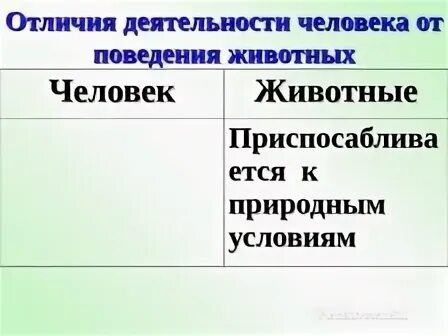 Что отличает деятельность от поведения. Отличия деятельности человека от поведения животных. Отличие деятельности человека от активности животных.