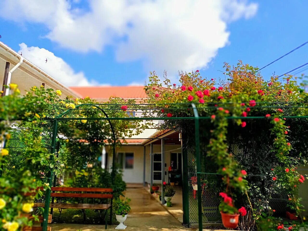 Судак ул южнобережная 89. Гостевой дом альяна судак. Судак гостевой дом сайт. Гостевые дома. Судак, улица пекарей, 1.