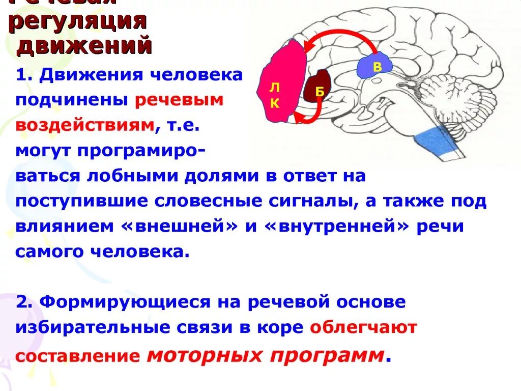 Координация и речь. Речевая регуляция движений. Регуляция произвольных движений. Регуляция движений физиология. Механизмы регуляции движения.