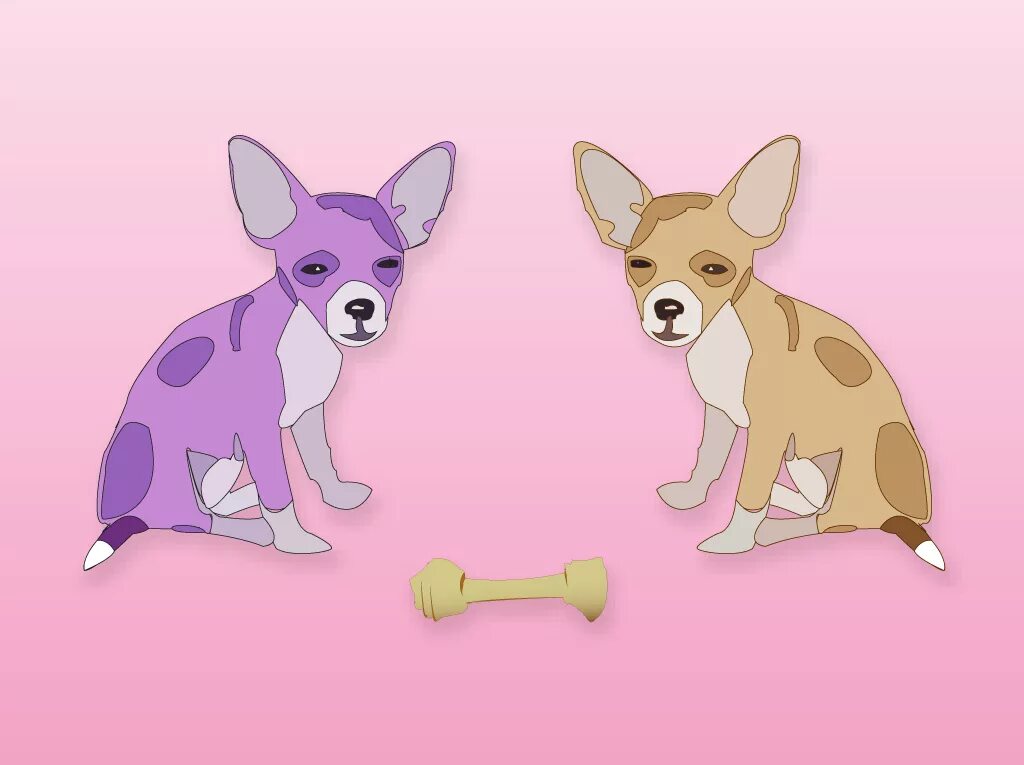 Чихуахуа рисунок. Рисовать чихуахуа. Собака Flat. Flat dog