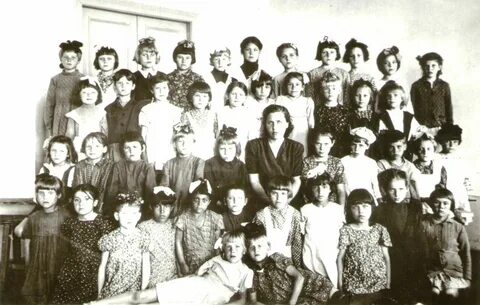 Школа 1955 меню