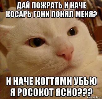 Держи поешь