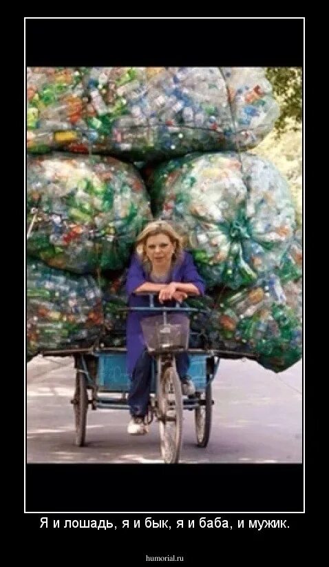 Баба в телеге. Свадьба картинки прикольные. Баба коня на скаку остановит. Я и лошадь я и бык я и баба. Я и лошадь я и бык я и баба и мужик картинки.
