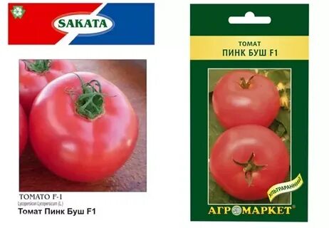 Пинк буш описание