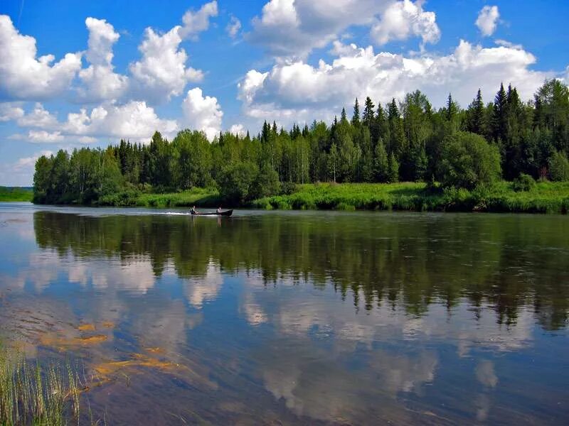 Воды рек коми. Река Ижма Сосногорск. Ижма (приток Печоры). Река Ижма Нижегородской области. Бассейн реки Ижма Воскресенский район.